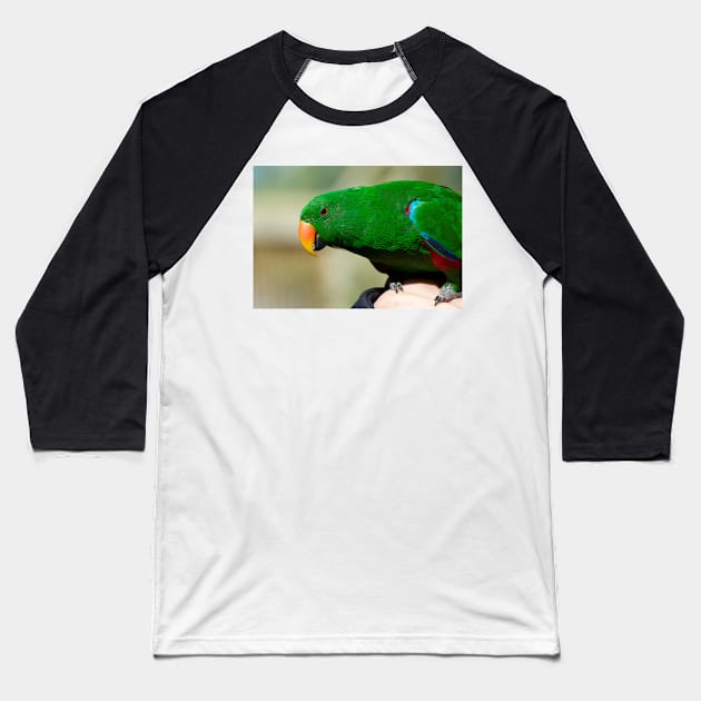 Eclectus Parrot - male Baseball T-Shirt by GP1746